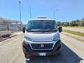 Fiat Ducato 28 2.0 MJT 120CV PC FRIGO 0° White - thumbnail 2