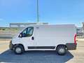 Fiat Ducato 28 2.0 MJT 120CV PC FRIGO 0° White - thumbnail 11