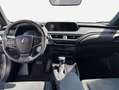 Lexus UX 250h 250h Style Edition Argento - thumbnail 9