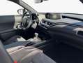 Lexus UX 250h 250h Style Edition Ezüst - thumbnail 10
