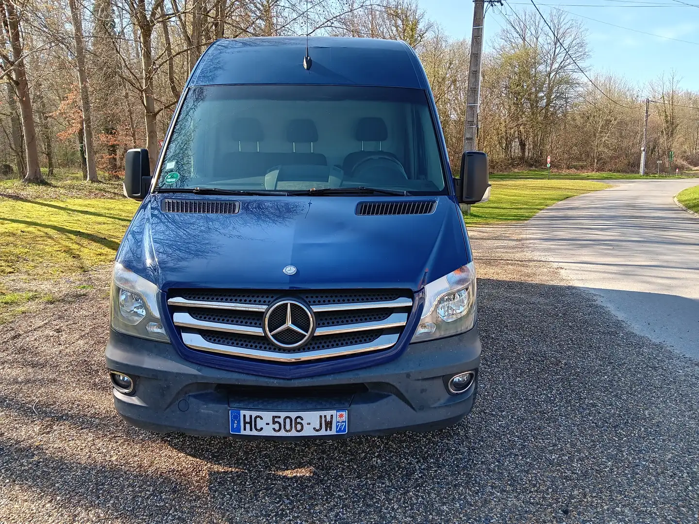 Mercedes-Benz Sprinter SPRINTER FGN 316 CDI 37S 3.5t Bleu - 1