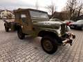 Jeep Willys JEEP & Strick Willy`s Cargo Trailer Verde - thumbnail 27
