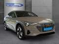Audi e-tron 50 QUATTRO 313 PS Beige - thumbnail 8