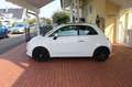 Fiat 500 **PANO/KLIMA/8-FACH** Blanc - thumbnail 8