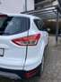 Ford Kuga Kuga 2,0 TDCi Titanium 4x4Titanium Weiß - thumbnail 7