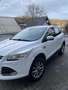 Ford Kuga Kuga 2,0 TDCi Titanium 4x4Titanium Weiß - thumbnail 3