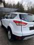 Ford Kuga Kuga 2,0 TDCi Titanium 4x4Titanium Weiß - thumbnail 5