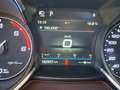 Alfa Romeo Stelvio 2.2 Executive Q4 210cv TAGLIANDATA Blu/Azzurro - thumbnail 13