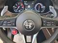 Alfa Romeo Stelvio 2.2 Executive Q4 210cv TAGLIANDATA Blu/Azzurro - thumbnail 11