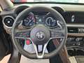 Alfa Romeo Stelvio 2.2 Executive Q4 210cv TAGLIANDATA Blu/Azzurro - thumbnail 10