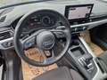 Audi A4 *** AKTION *** 40 TDI quattro basis Negro - thumbnail 18