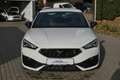 CUPRA Leon 1.5 eTSI #DSG #KAM #SITZHZG #NAVI #PDC Weiß - thumbnail 9