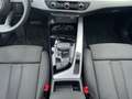 Audi A4 advanced 35TFSI S-trc AHK LED Navi Sitz Grün - thumbnail 8
