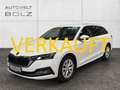Skoda Octavia Combi Style 2.0 TDI HUD Navi DigiCock Kamera Memor Weiß - thumbnail 1