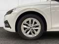 Skoda Octavia Combi Style 2.0 TDI HUD Navi DigiCock Kamera Memor Weiß - thumbnail 21