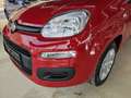Fiat Panda FireFly Hybrid 70 Rot - thumbnail 14