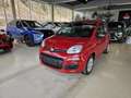 Fiat Panda FireFly Hybrid 70 Rot - thumbnail 1