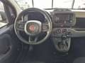 Fiat Panda FireFly Hybrid 70 Rot - thumbnail 10