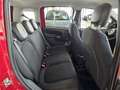 Fiat Panda FireFly Hybrid 70 Rot - thumbnail 12