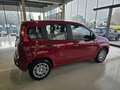 Fiat Panda FireFly Hybrid 70 Rot - thumbnail 6