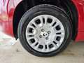 Fiat Panda FireFly Hybrid 70 Rot - thumbnail 13