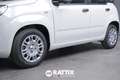 Fiat Panda 1.0 Firefly Hybrid 70CV + Pack City Bianco - thumbnail 4