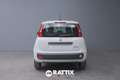 Fiat Panda 1.0 Firefly Hybrid 70CV + Pack City White - thumbnail 5