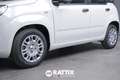 Fiat Panda 1.0 Firefly Hybrid 70CV + Pack City White - thumbnail 23