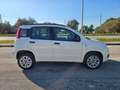 Fiat Panda 0.9 TwinAir Turbo Natural Power Pop Bianco - thumbnail 4