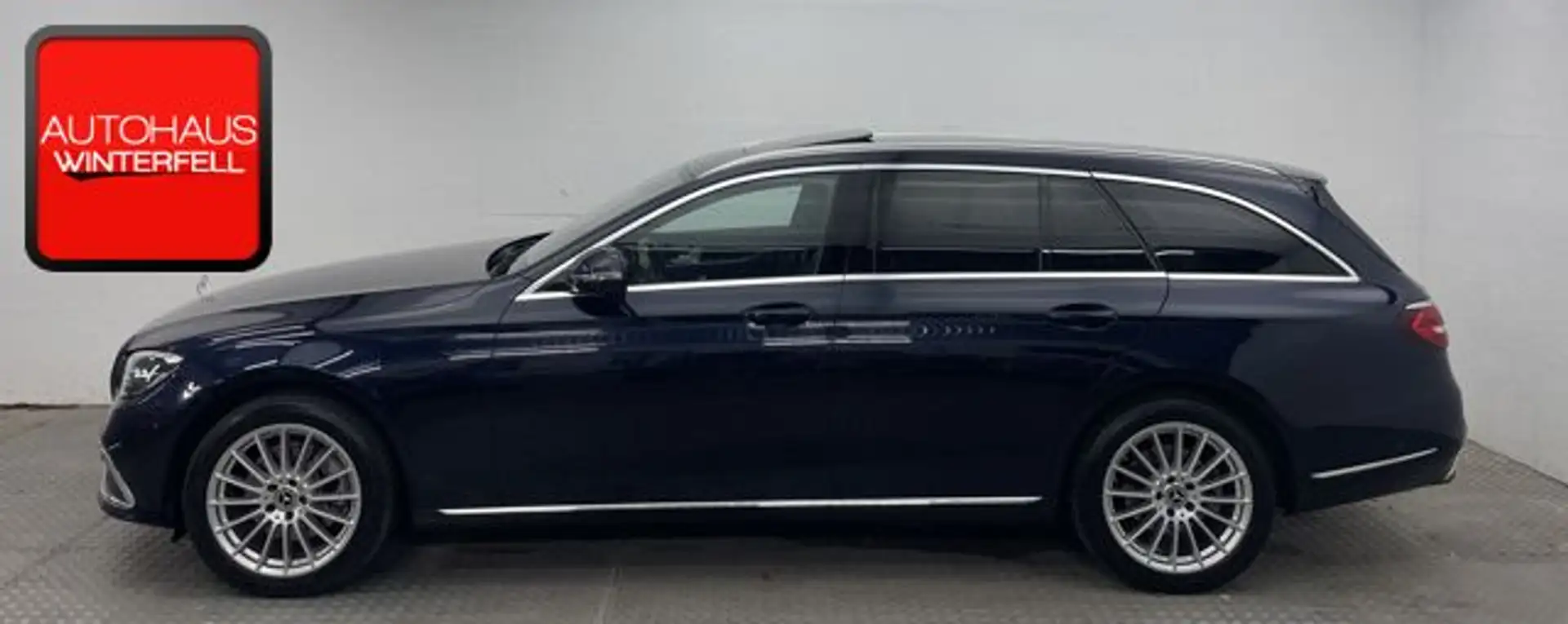 Mercedes-Benz E 300 d 4M T EXCLUSIVE ESD+AHK+MEMO+BURM+STANDHE Albastru - 2