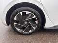 Volkswagen ID.3 First 58 kWh | SoH ...% | Automaat | Parkeersensor Wit - thumbnail 11