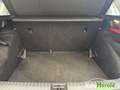 Skoda Kamiq Scheckheft PDC AHK SmartLink­ WKR Silber - thumbnail 7