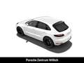 Porsche Macan GTS Surround-View BOSE Luftfederung Weiß - thumbnail 4