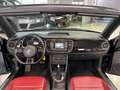 Volkswagen Maggiolino 1.4 TSI DSG 50s UNICO PROPRIETARIO Negro - thumbnail 8