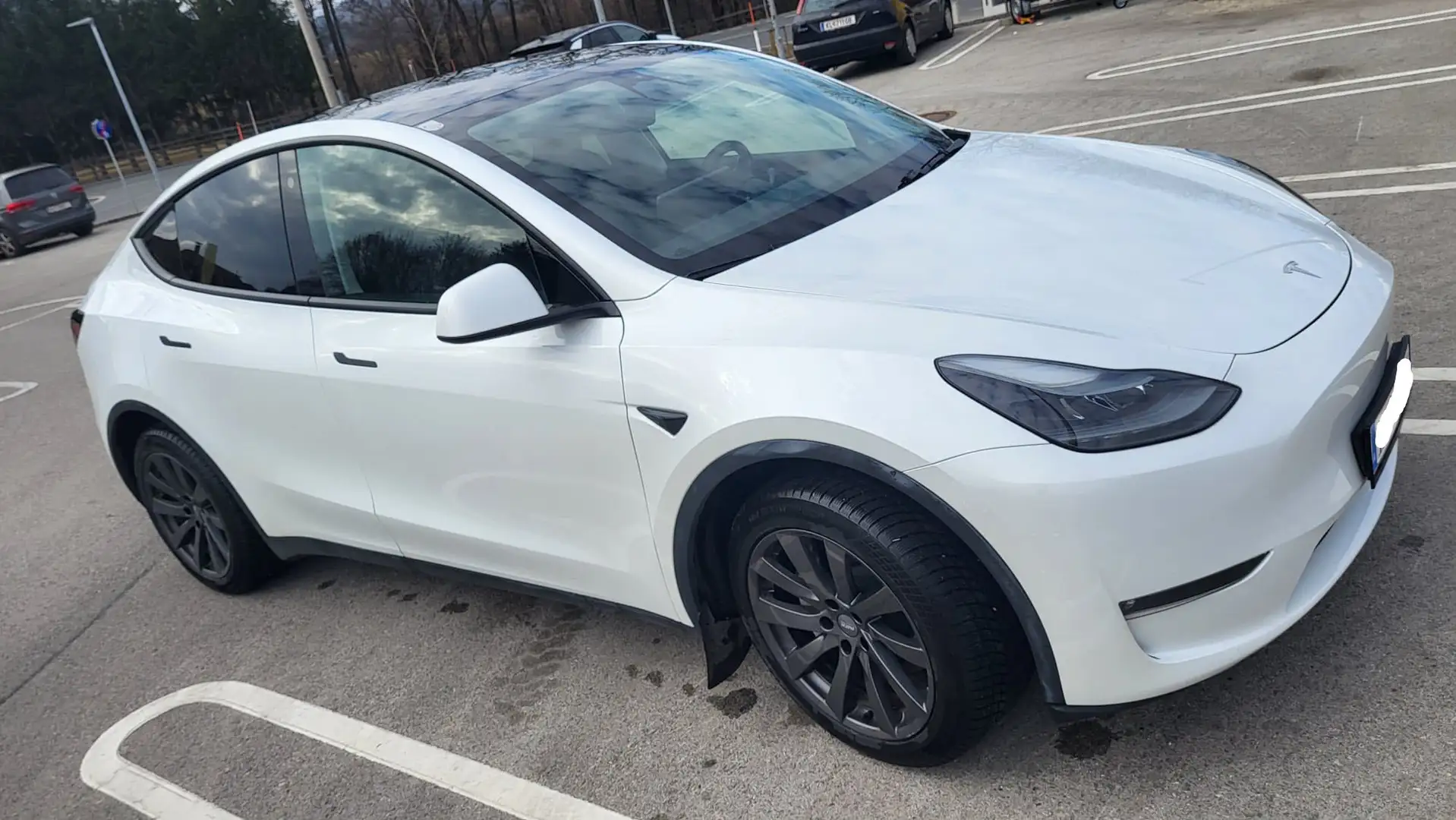 Tesla Model Y Model Y Long Range AWD 79kWh Weiß - 2