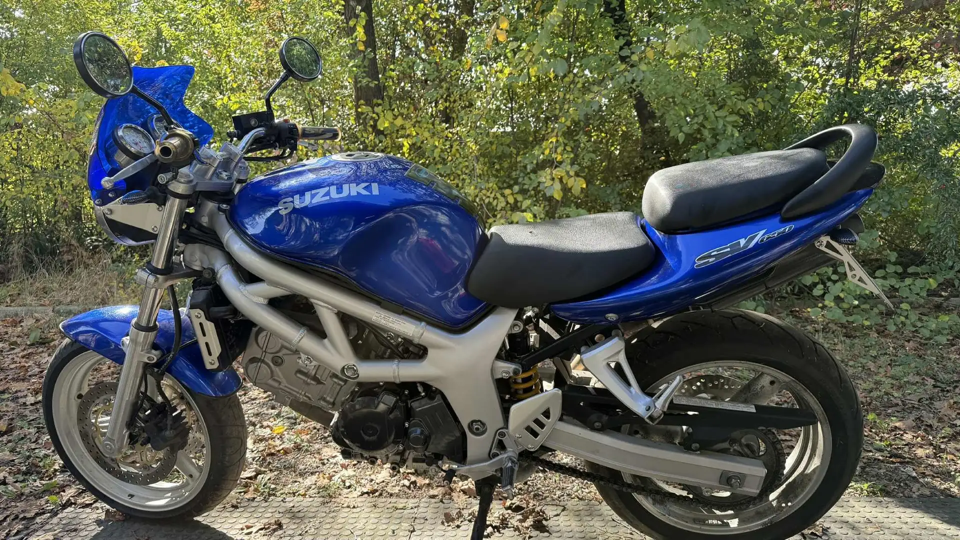 Suzuki SV 650 Bleu - 1