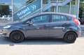 Ford Fiesta Trend 1.0*EXPORT* Grau - thumbnail 5