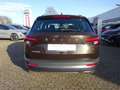 Skoda Karoq 1.5 TSI ACT Style LED Memory Kamera Braun - thumbnail 6