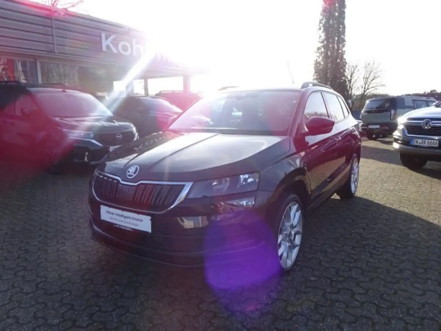 Skoda Karoq 1.5 TSI ACT Style LED Memory Kamera Braun - 1
