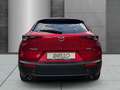 Mazda CX-30 2.5 140 PS Homura Navi LED ACC El. Heckklappe Appl Rouge - thumbnail 6