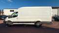 Ford Transit Kasten H3L4 Trend*Klima*PDC+Cam*Tempomat Blanc - thumbnail 2
