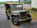 Jeep Willys SLAT GRILL Grün - thumbnail 4
