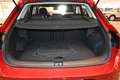 Volkswagen T-Roc 1.5 TSI Automatik Life LED PDC SzHzg ACC Rot - thumbnail 4
