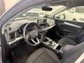 Audi Q5 Q5 II 2020 35 2.0 tdi mhev 12V Business s-tronic Argento - thumbnail 6