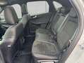 Ford Kuga 2.5 Duratec PHEV GRAPHITE TECH EDITION Grau - thumbnail 13