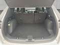 Ford Kuga 2.5 Duratec PHEV GRAPHITE TECH EDITION Grau - thumbnail 5