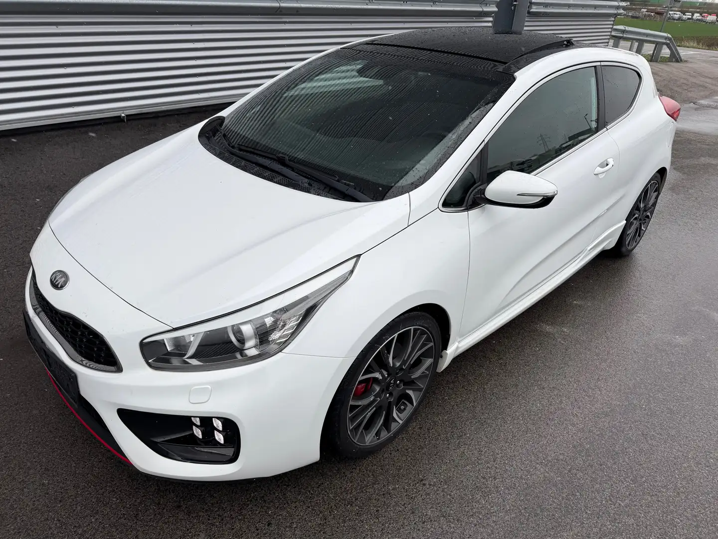 Kia ProCeed / pro_cee'd GT-Track 1,6 TGDI ID:64 Weiß - 1