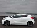 Kia ProCeed / pro_cee'd GT-Track 1,6 TGDI ID:64 Weiß - thumbnail 4