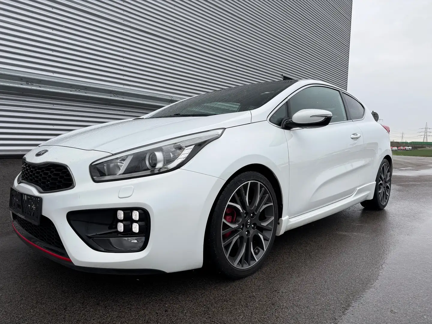 Kia ProCeed / pro_cee'd GT-Track 1,6 TGDI ID:64 Weiß - 2