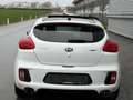 Kia ProCeed / pro_cee'd GT-Track 1,6 TGDI ID:64 Weiß - thumbnail 6